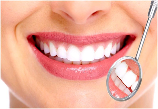 Vai trò của răng cửa