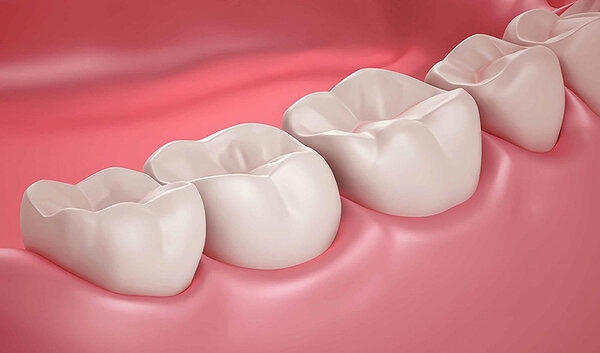 Vai trò của răng hàm
