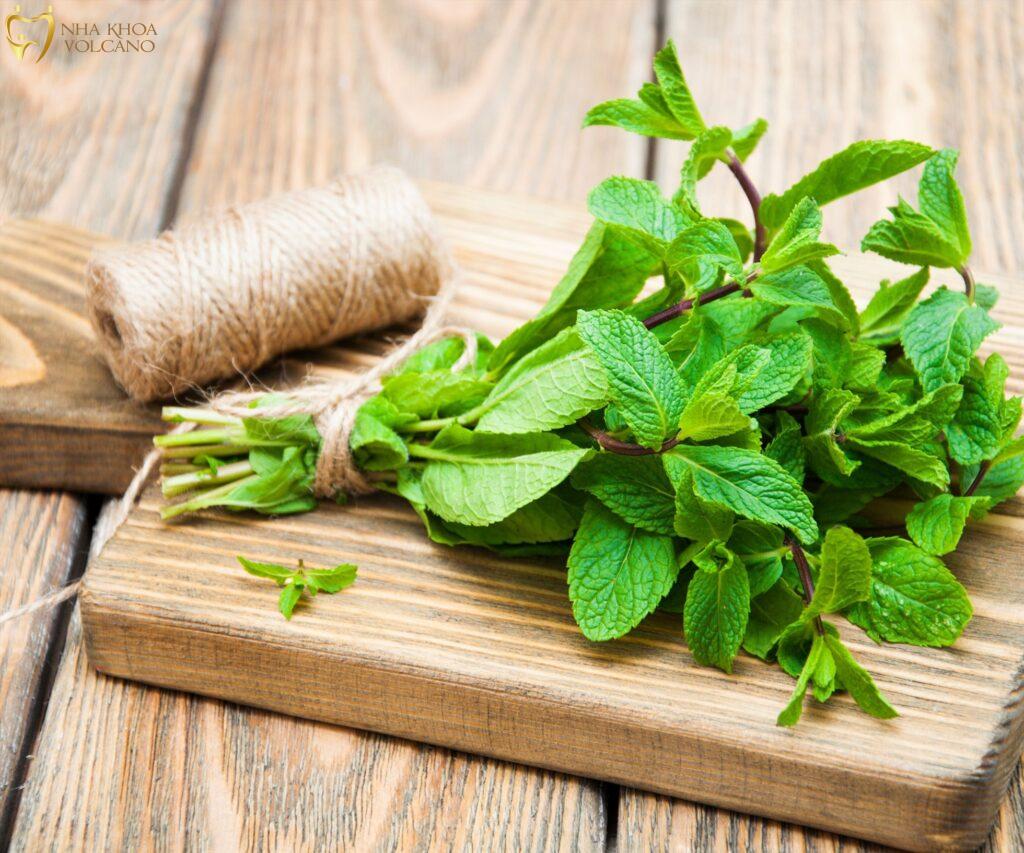 Sử dụng lá bạc hà